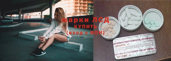 спайс Алзамай