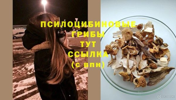 прущая мука Абаза