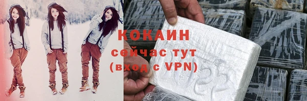 спайс Алзамай