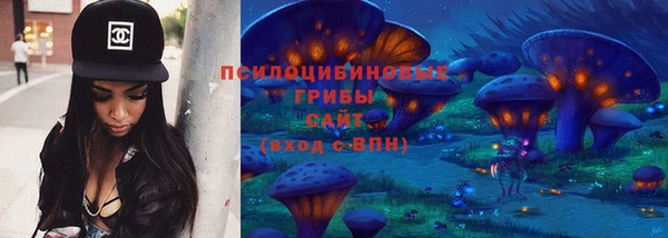 спайс Алзамай