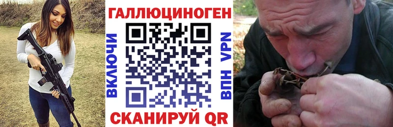 blacksprut как зайти  наркота  Солигалич  Галлюциногенные грибы MAGIC MUSHROOMS 